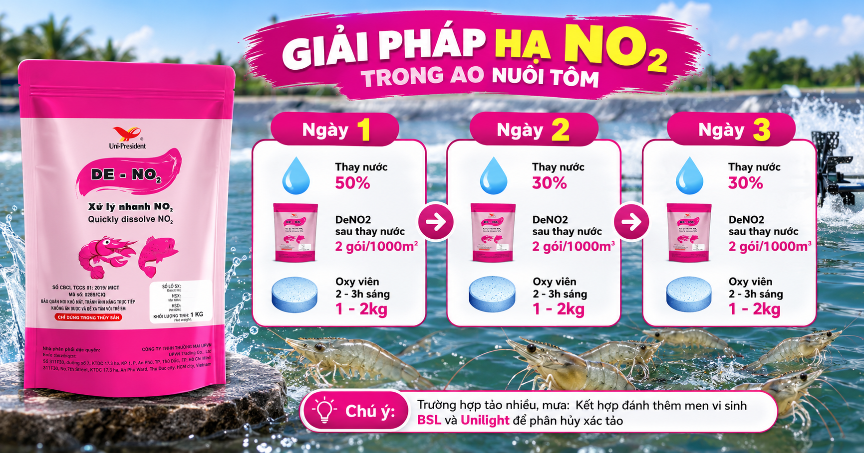 Xử lý NO2 trong ao nuôi