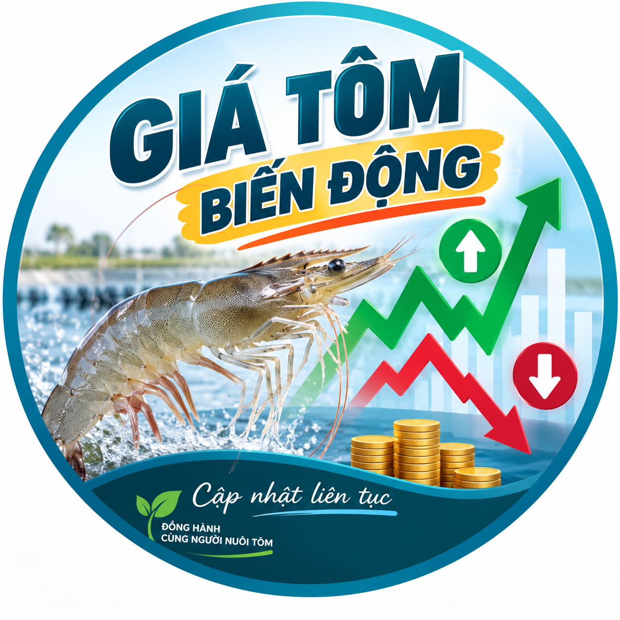 Giá tôm khu vực Cà Mau-29/09/2026