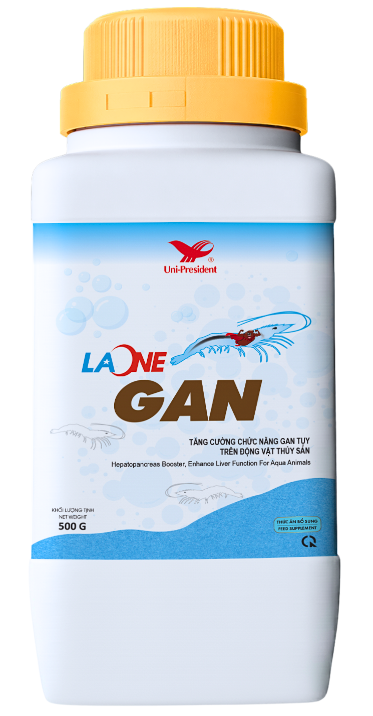 Gan